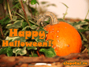 Happy Halloween - Trimite felicitare