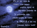 Felicitari de Halloween - Trimite felicitare
