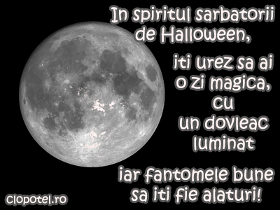 Felicitari de Halloween Felicitare aleasa - Felicitari de Halloween