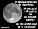 Felicitari de Halloween - Trimite felicitare