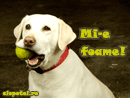 Mi-e foame