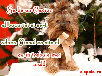 Felicitare aleasa - Felicitare de Craciun
