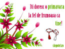 1 martie - Trimite felicitare