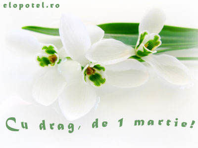 Cu drag, de 1 martie Felicitare aleasa - Cu drag, de 1 martie