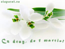 Cu drag, de 1 martie - Trimite felicitare