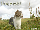 Unde esti? - Trimite felicitare