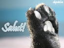 Salut! - Trimite felicitare
