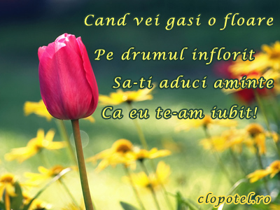 Felicitare aleasa - Drumul inflorit