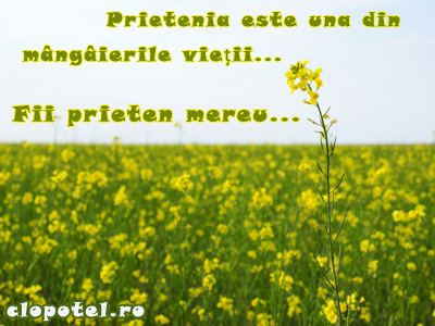 Prietenie pentru totdeauna Felicitare aleasa - Prietenie pentru totdeauna