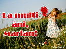 La multi ani, Marian! - Trimite felicitare