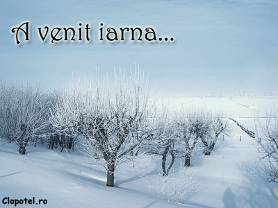 Felicitare aleasa - A venit iarna