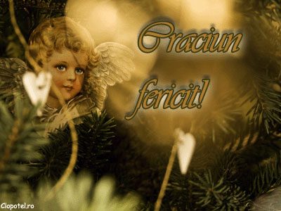 Felicitare aleasa - Craciun fericit!