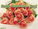 Valentine's Day - Trimite felicitare
