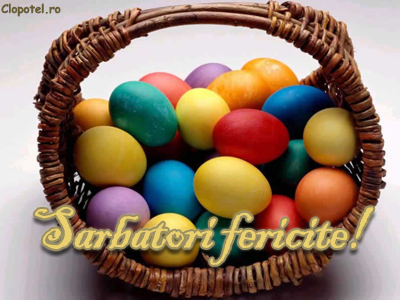 Felicitare aleasa - Sarbatori fericite!