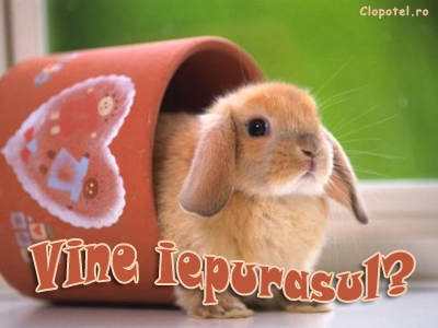 Felicitare aleasa - Vine iepurasul?