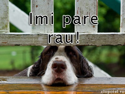 Imi pare rau Felicitare aleasa - Imi pare rau