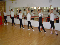 Grupa D studii