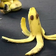 O caracatita si un catel din banane