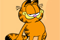 Ce stii despre Garfield?