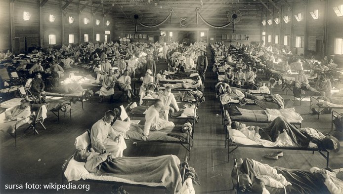 Test de cultura generala: Gripa spaniola