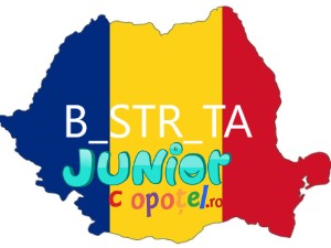 Spanzuratoarea oraselor din Romania