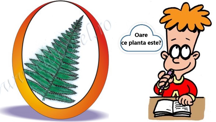 Testul pasionatului de plante