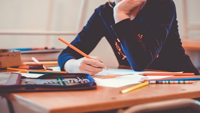 Test rapid pentru Evaluarea Nationala la Limba si literatura romana