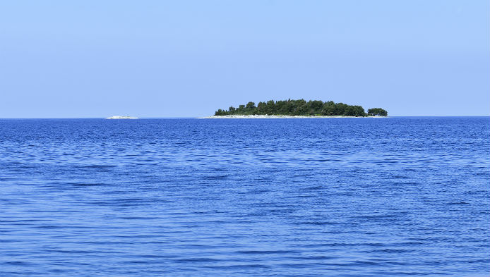 Testul Marii Mediterane