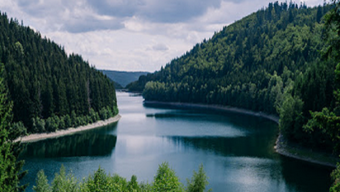 Test de Geografie - Raurile