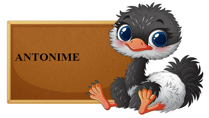 Test usor cu Antonime