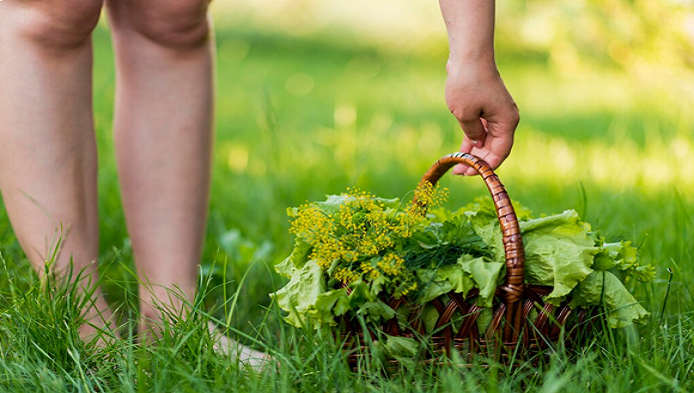 Test la Stiinte ale naturii - Clasa a IV-a