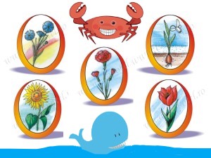 Test usor cu flori
