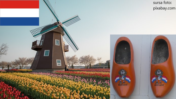 Test de cultura generala: Olanda