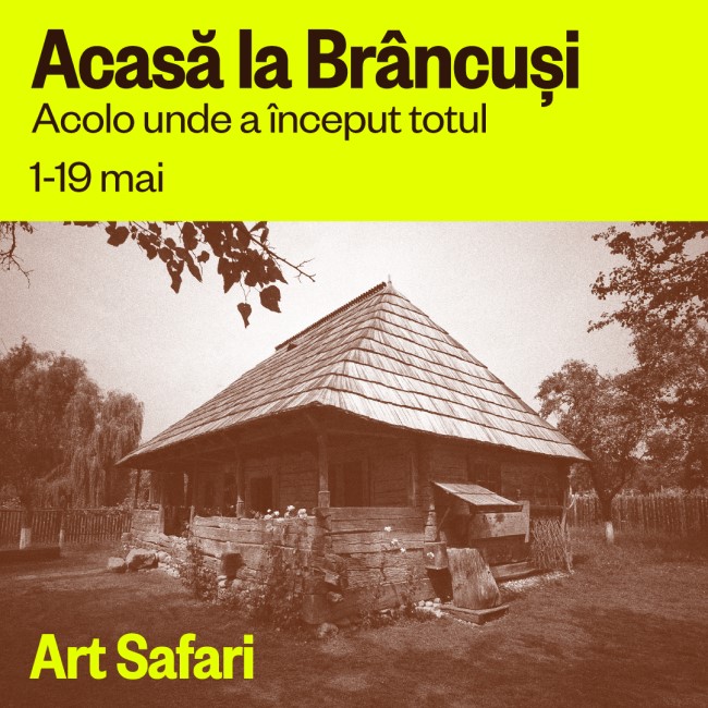 Acasa la Brancusi