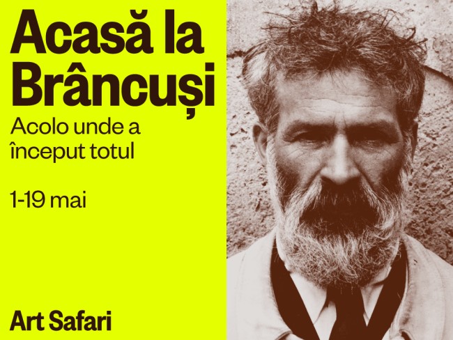 Acasa la Brancusi