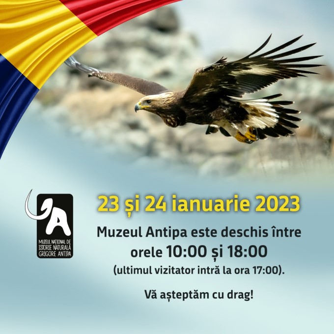 Program special de vizitare Muzeul Antipa Program special de vizitare Muzeul Antipa