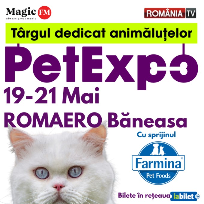 3 zile delicioase pentru prietenii necuvantatori intre 19 si 21 Mai, la Romaero Baneasa