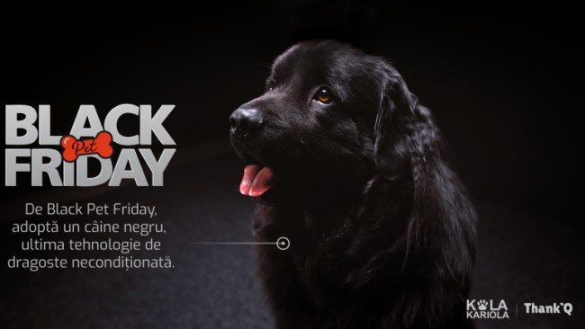 Black Pet Friday