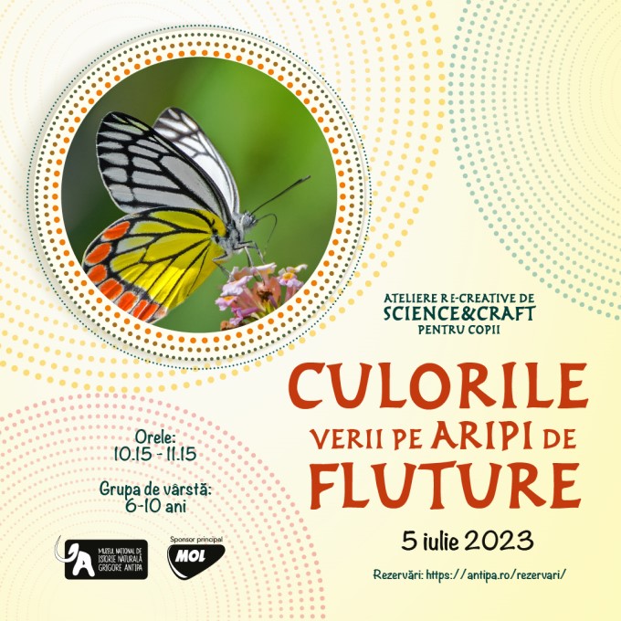 Culorile verii pe aripi de fluture la muzeu