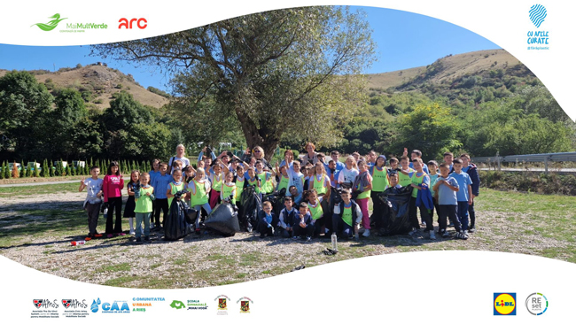 Ziua de Curatenie Nationala