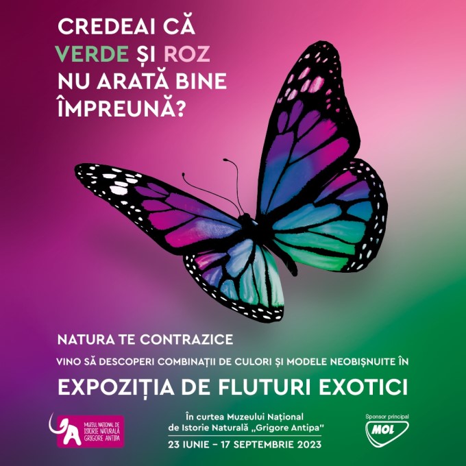 Fluturi exotici vii la Antipa