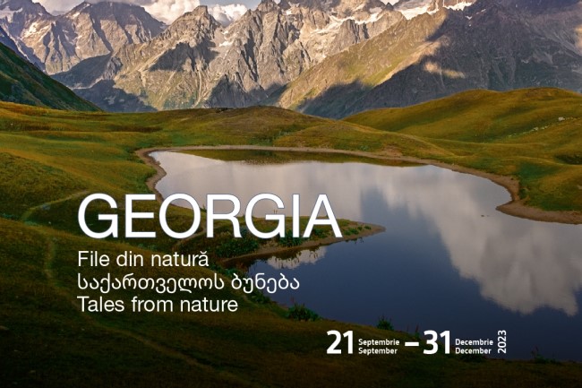 GEORGIA – File din natura