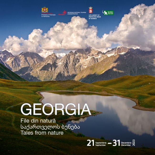 Afis GEORGIA – File din natura
