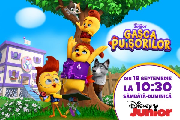 GASCA PUISORILOR