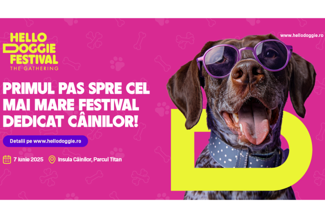 Hello Doggie Festival