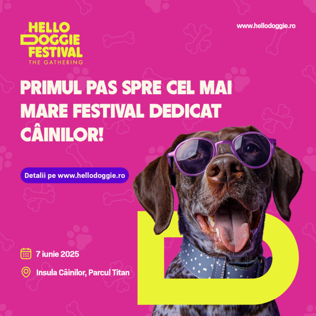 Afis Hello Doggie Festival