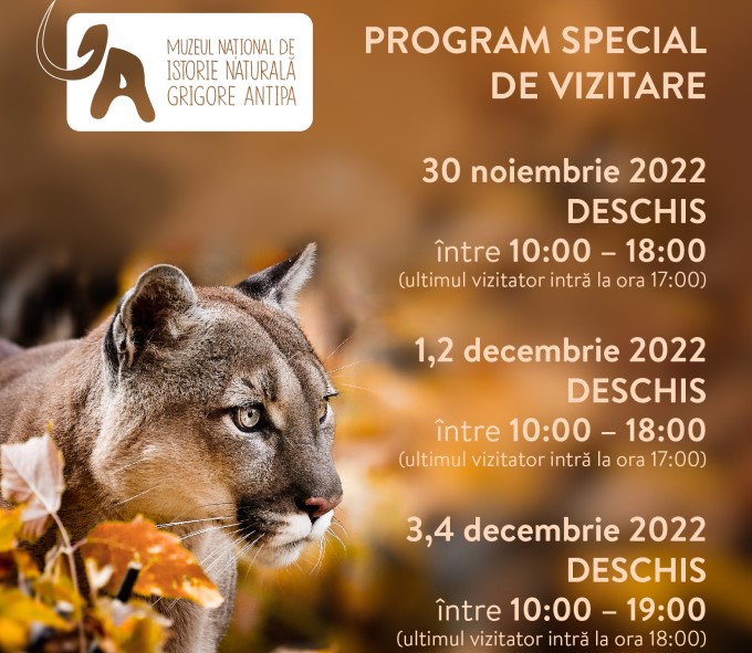 Program vizitare Antipa 