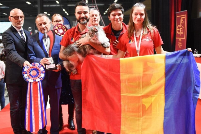 Romania are cel mai frumos motan din lume!