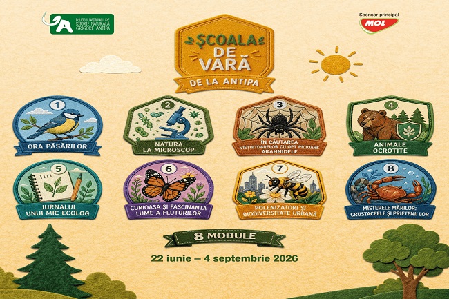 scoala-de-vara