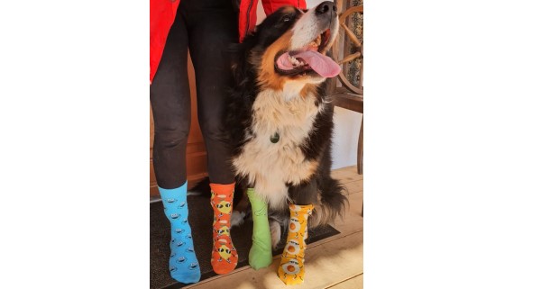 Ziua Internationala a Sindromului Down (21 martie)